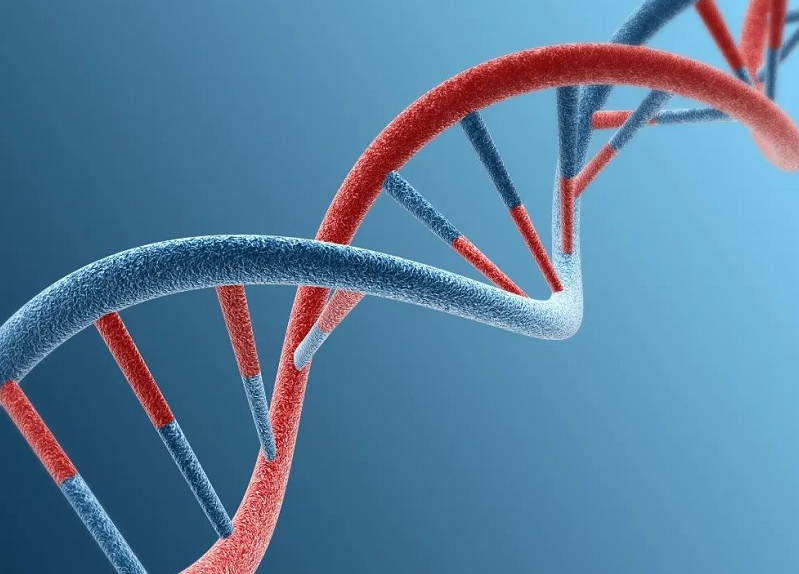 临场协作更加紧密，比赛掌控力持续增强